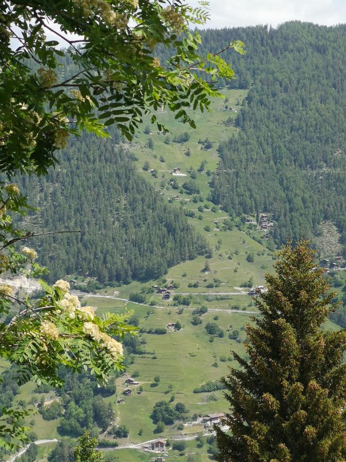 Le Cocon Du Catogne Proche Martigny Verbier - Netflix - Valettes Exterior foto